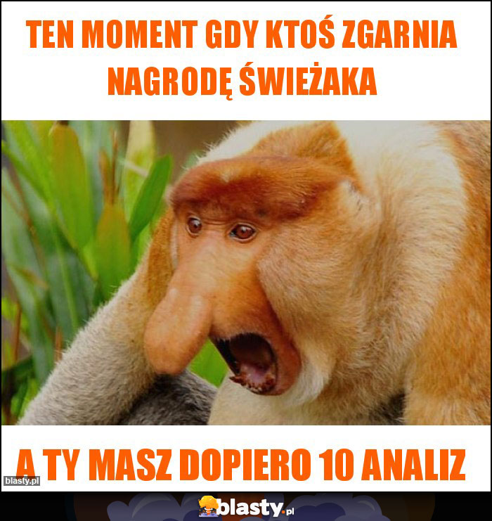 Ten moment gdy ktoś zgarnia nagrodę świeżaka