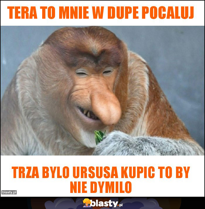 TERA TO MNIE W DUPE POCALUJ