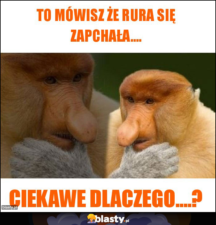 To mówisz że rura się zapchała....