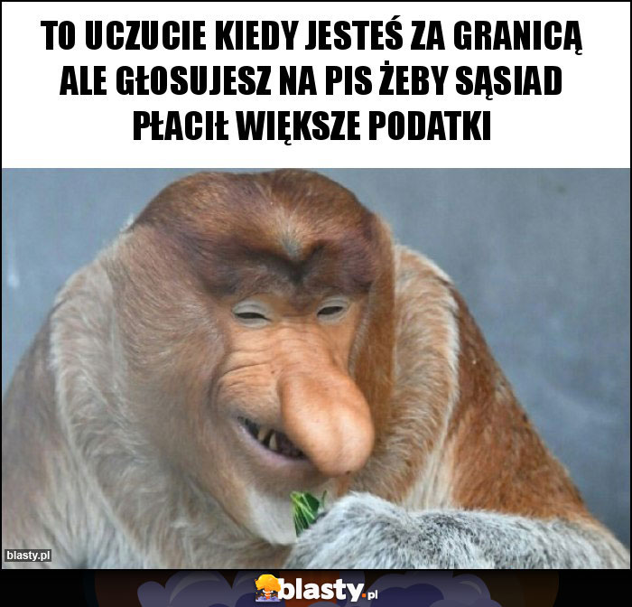 To uczucie kiedy jesteś za granicą ale głosujesz na pis żeby sąsiad płacił większe podatki