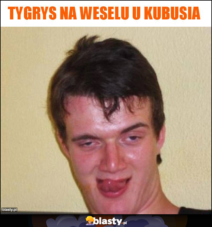 Tygrys na weselu u Kubusia