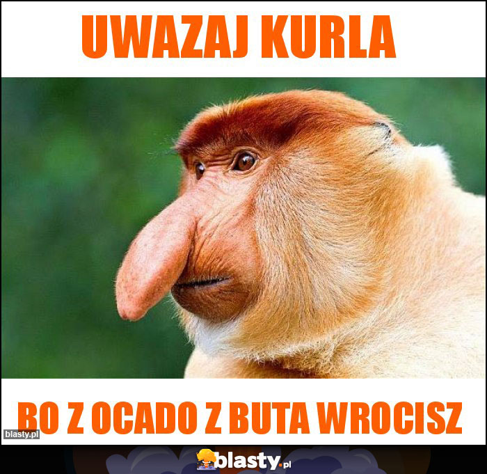 UWAZAJ kurla