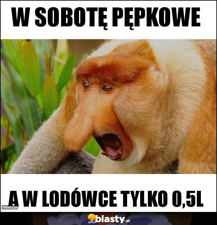 w sobotę pępkowe