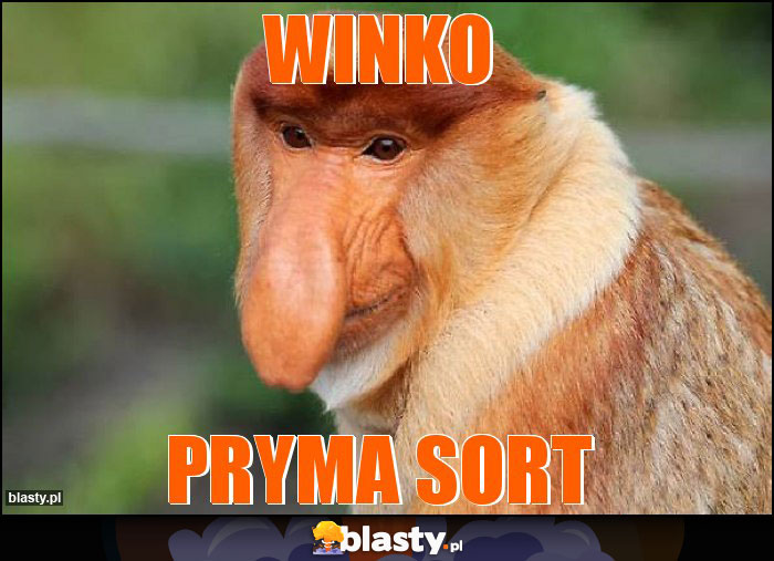 Winko