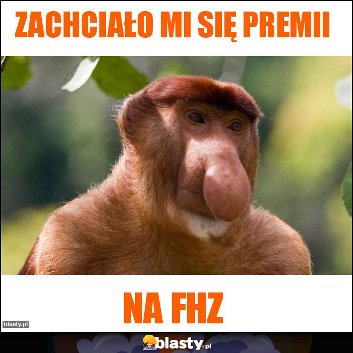 Zachciało mi się premii