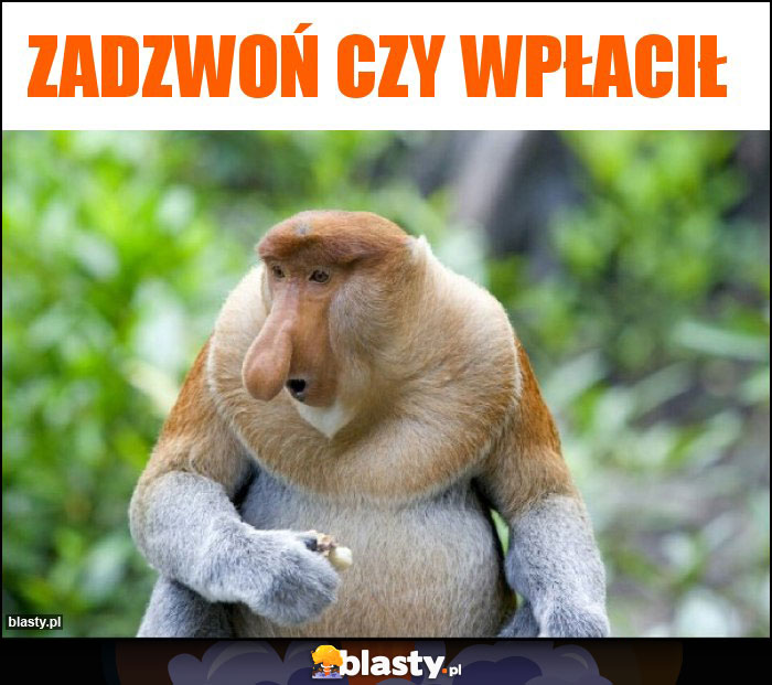 Zadzwoń czy wpłacił