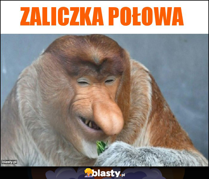 Zaliczka połowa