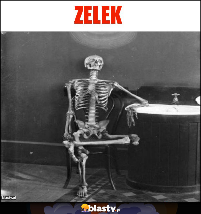 Zelek