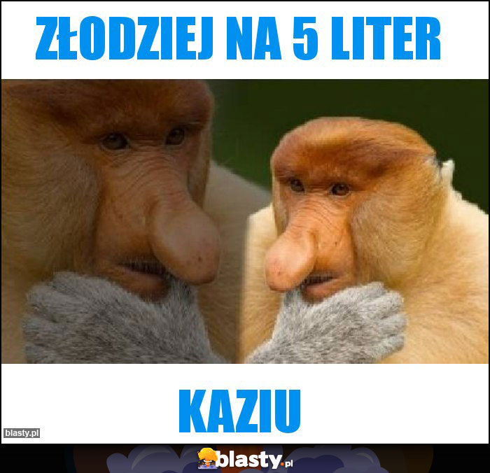 ZŁODZIEJ NA 5 LITER