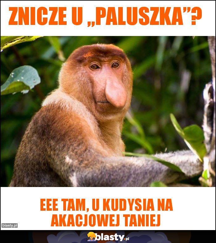 Znicze u „Paluszka”?