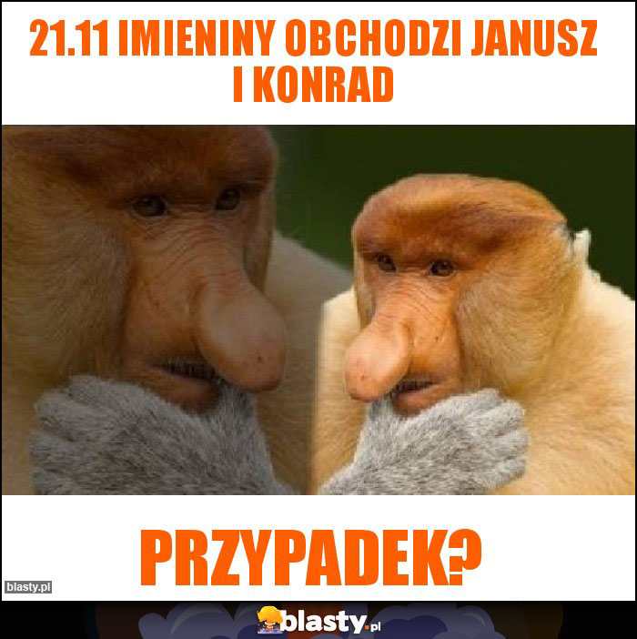 21.11 imieniny obchodzi Janusz i Konrad