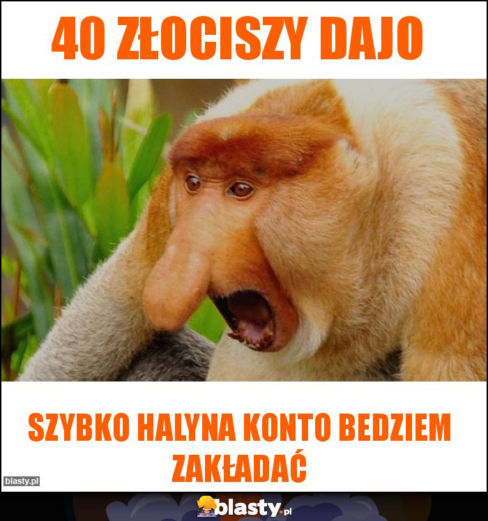 40 złociszy dajo