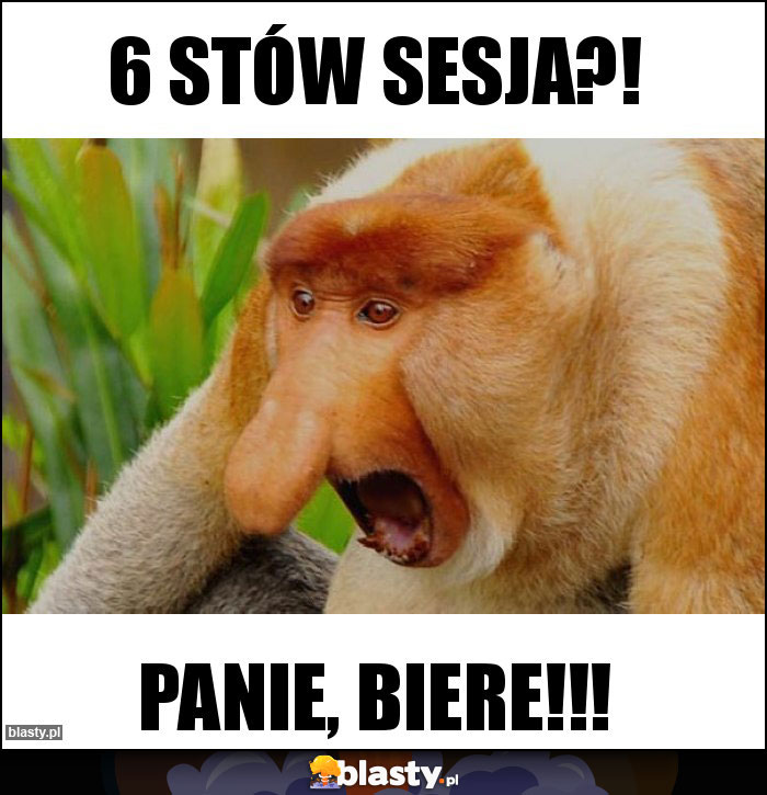 6 stów sesja?!