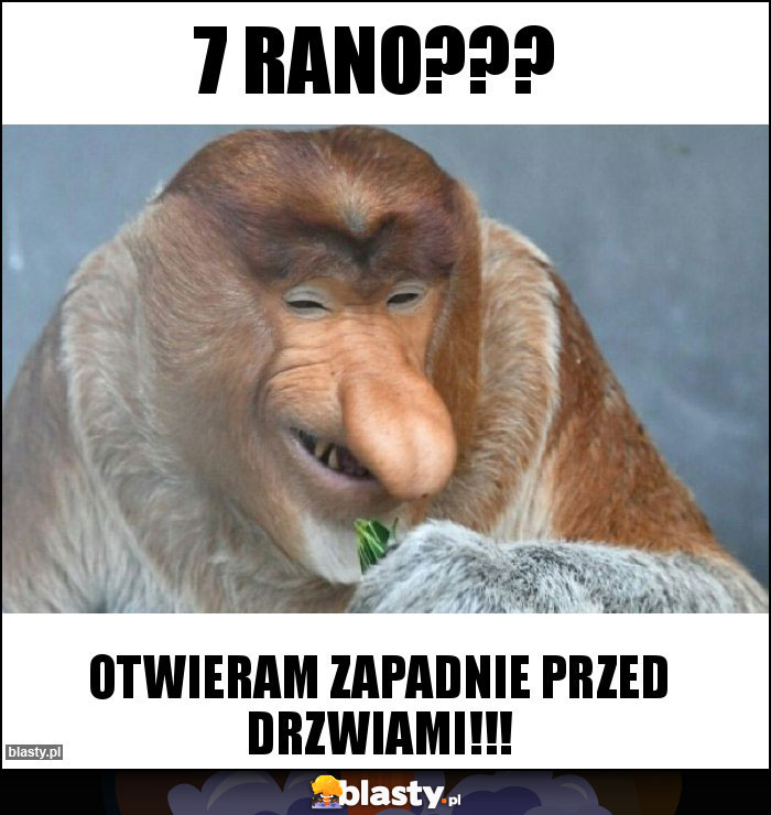 7 rano???