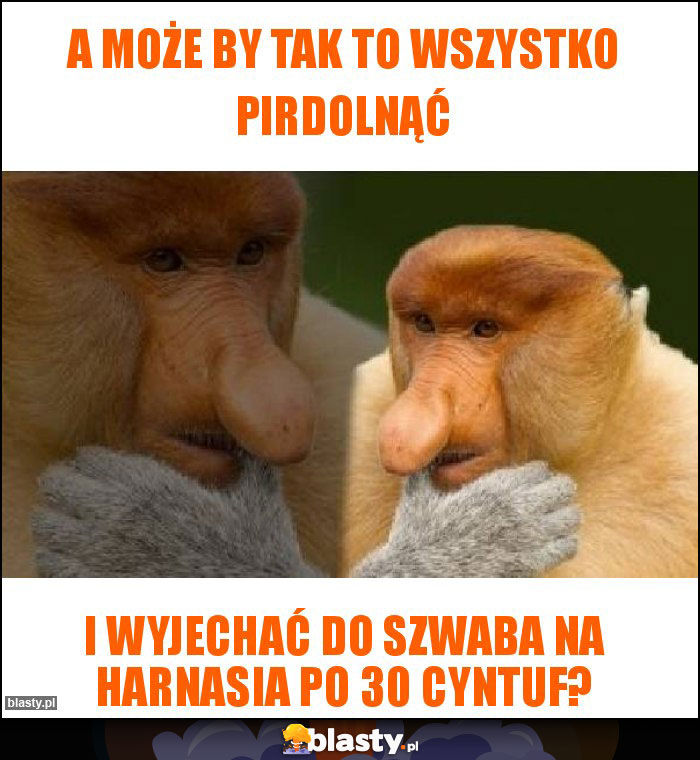 A MOŻE BY TAK TO WSZYSTKO PIRDOLNĄĆ