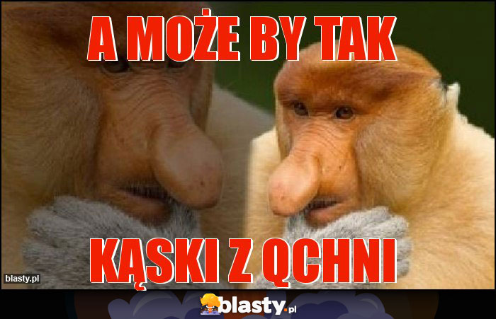 A może by tak