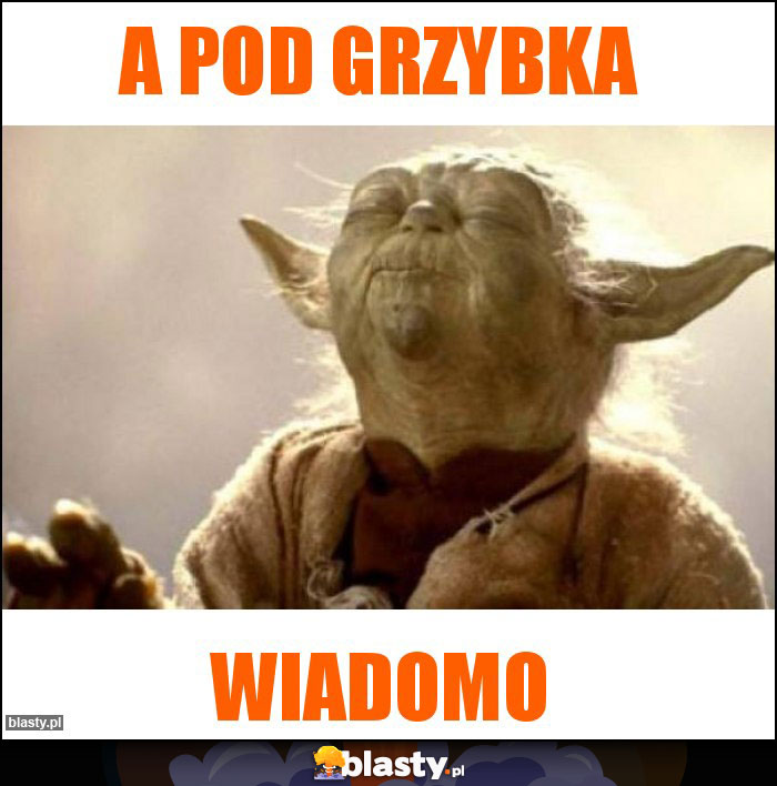 A pod grzybka