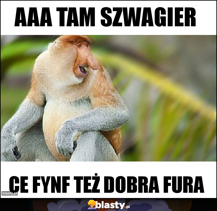 Aaa tam Szwagier