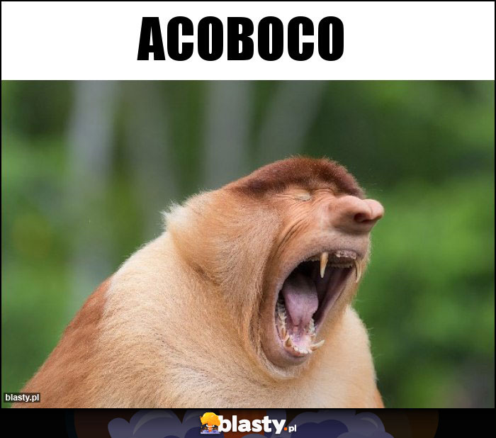 ACOBOCO