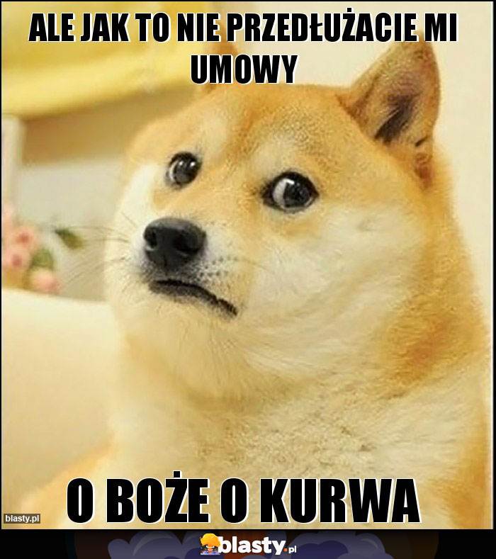 Ale jak to nie przedłużacie mi umowy