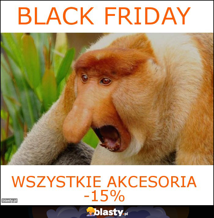 BLACK FRIDAY