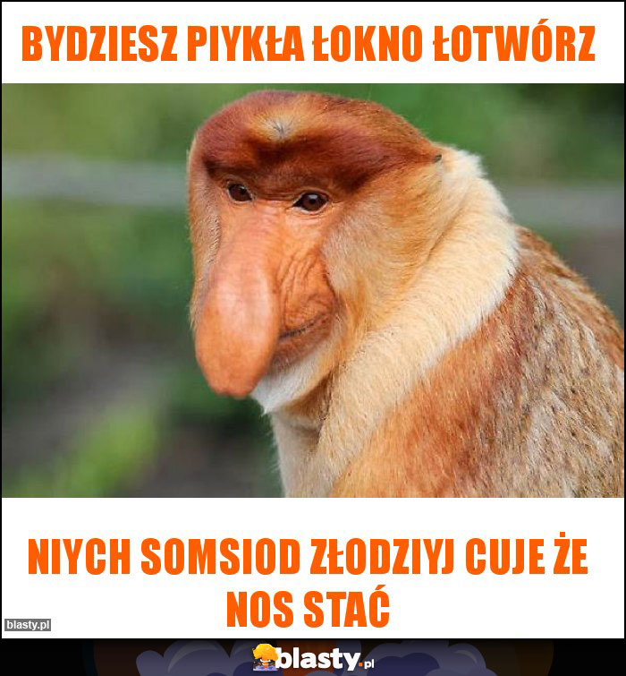 BYDZIESZ PIYKŁA ŁOKNO ŁOTWÓRZ