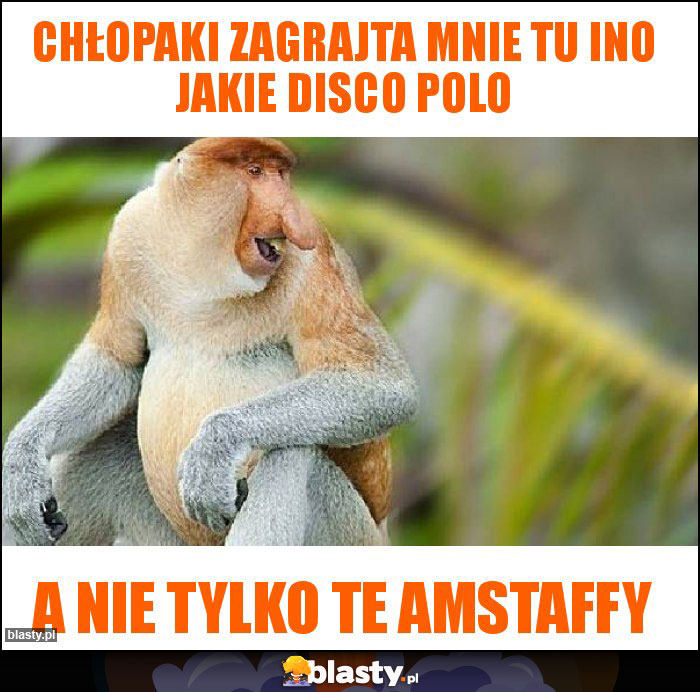 Chłopaki zagrajta mnie tu ino jakie disco polo