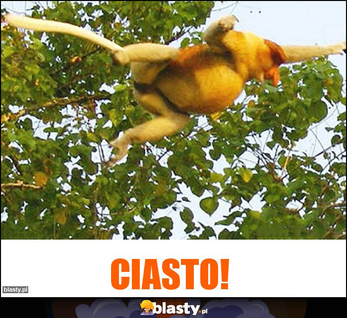 ciasto!