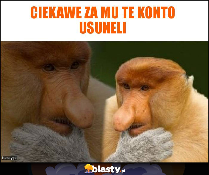 Ciekawe za mu te konto usuneli