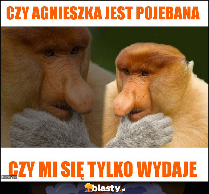 Czy Agnieszka jest pojebana