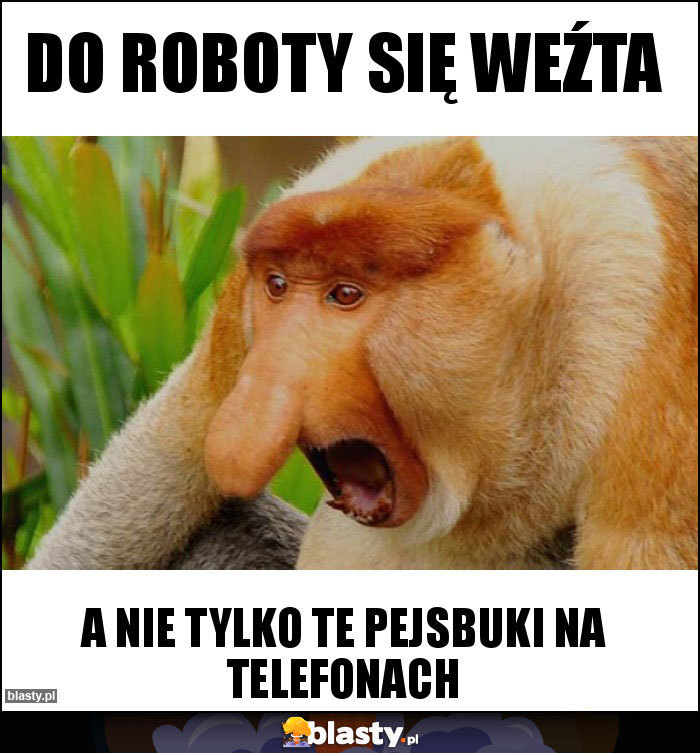 DO ROBOTY SIĘ WEŹTA