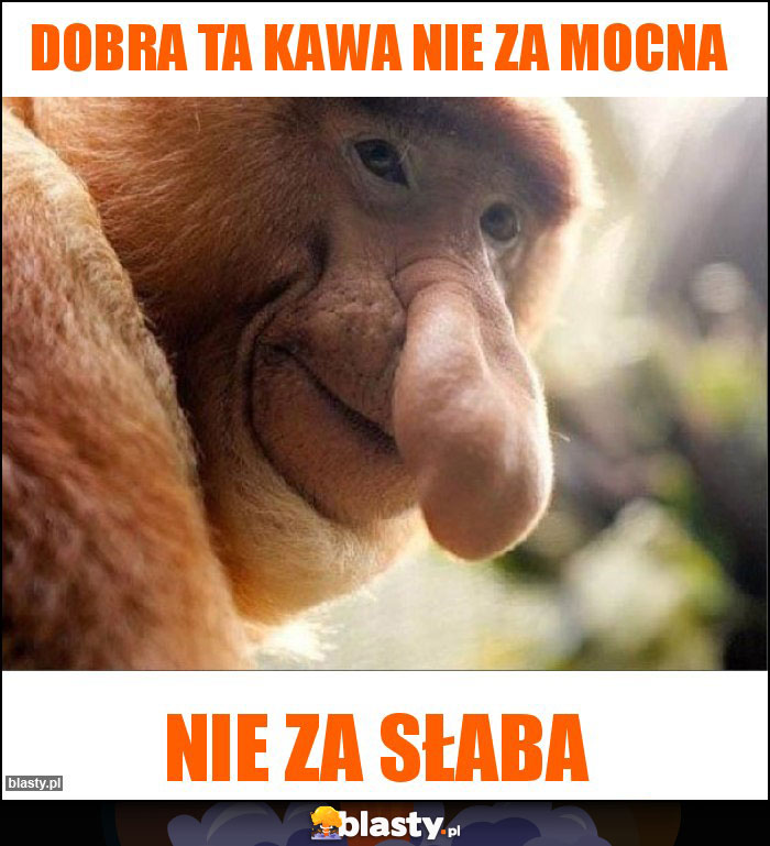 Dobra ta kawa nie za mocna