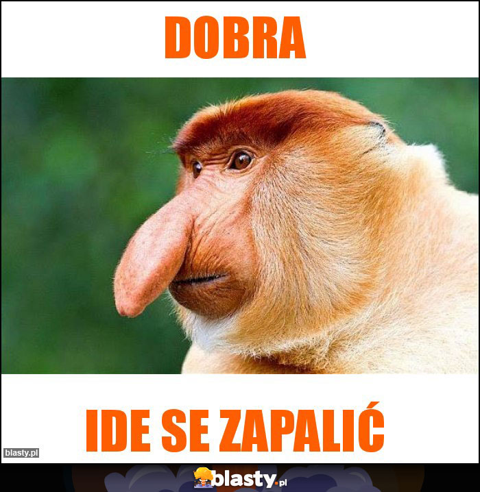 Dobra