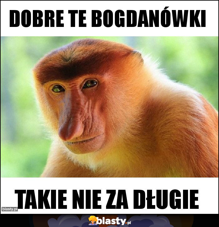 Dobre te bogdanówki