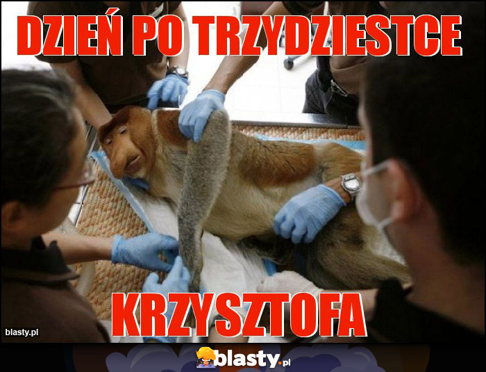 Dzień po trzydziestce