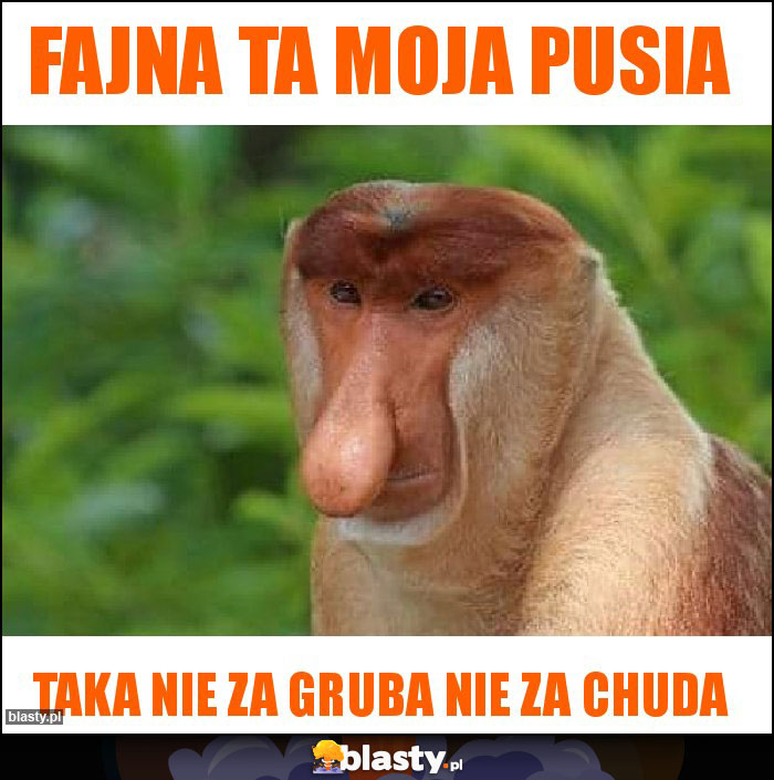 fajna ta moja pusia