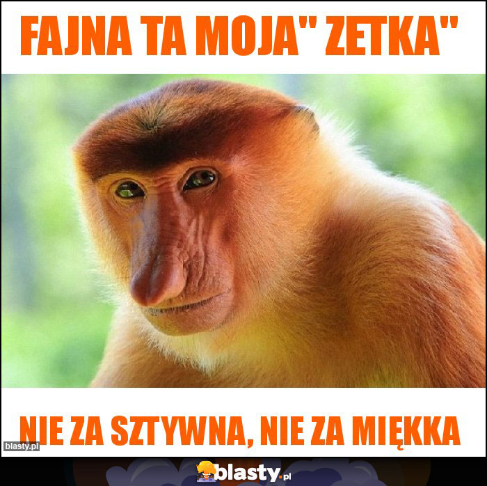 Fajna ta moja