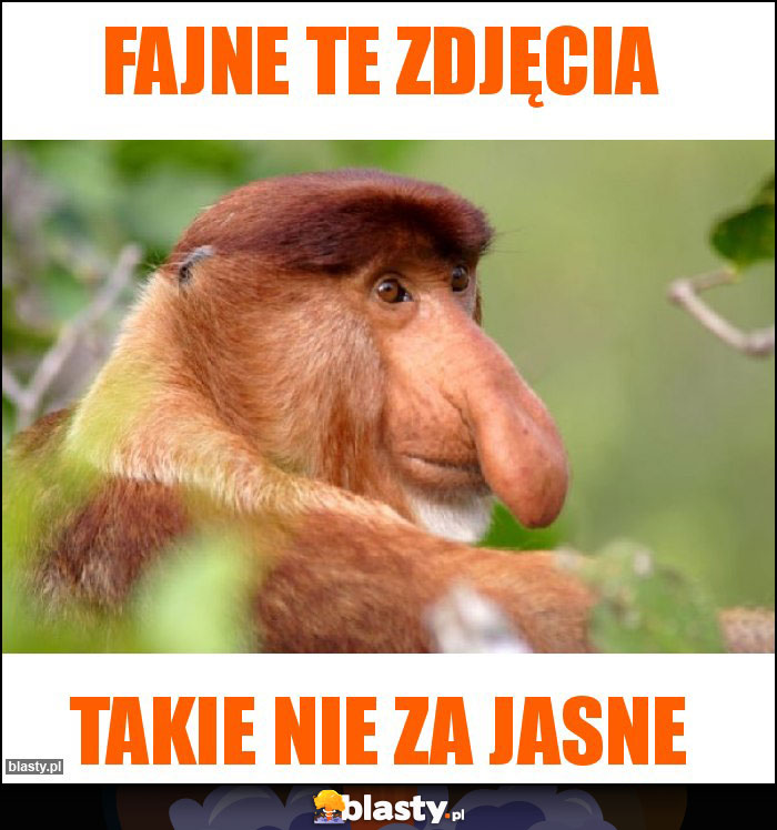 Fajne te zdjęcia