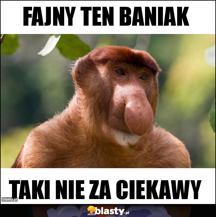 Fajny ten baniak