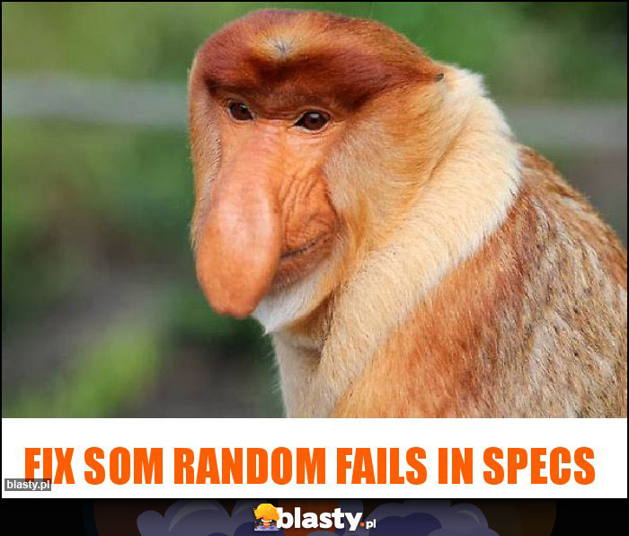 Fix som random fails in specs