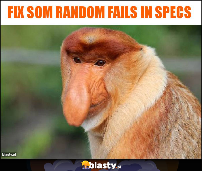 Fix som random fails in specs