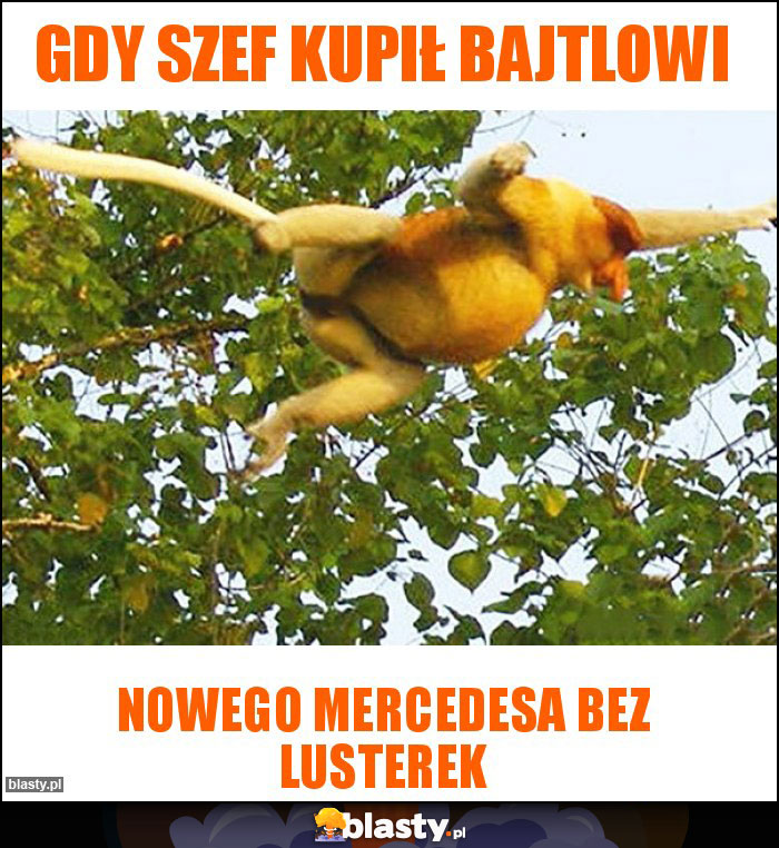 Gdy szef kupił Bajtlowi