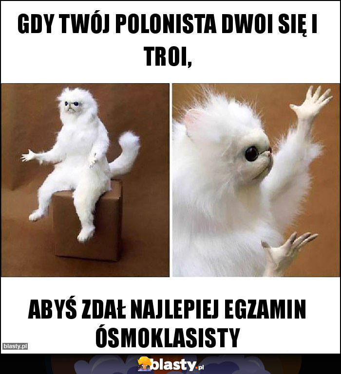 Gdy Twój polonista dwoi się i troi,