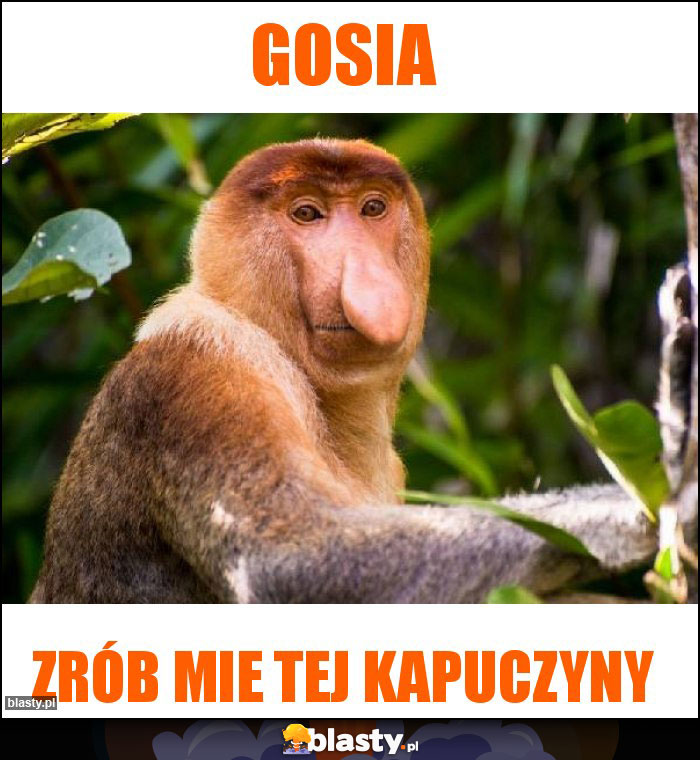 GOSIA