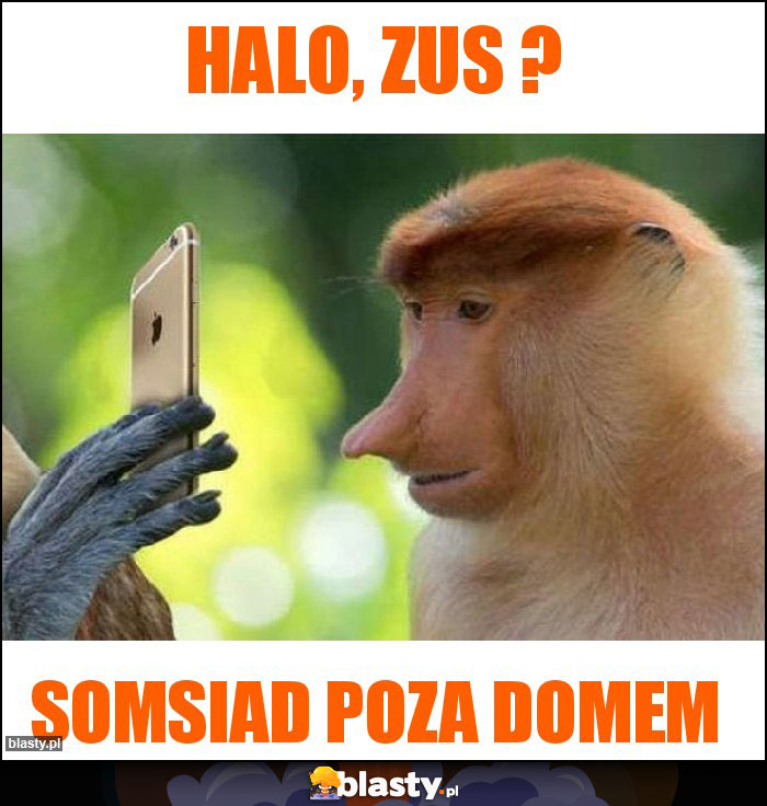 Halo, ZUS ?