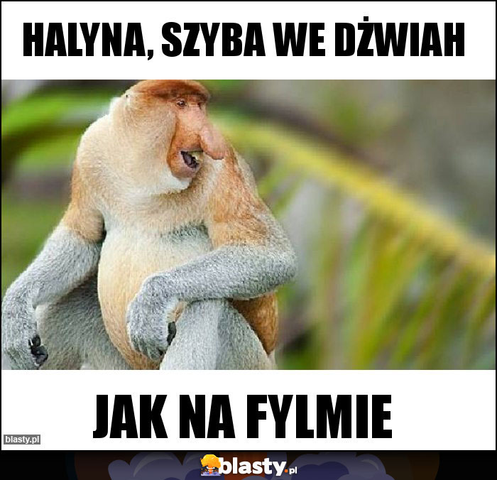 Halyna, szyba we dżwiah