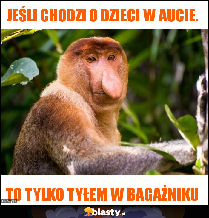 Jeśli chodzi o dzieci w aucie.