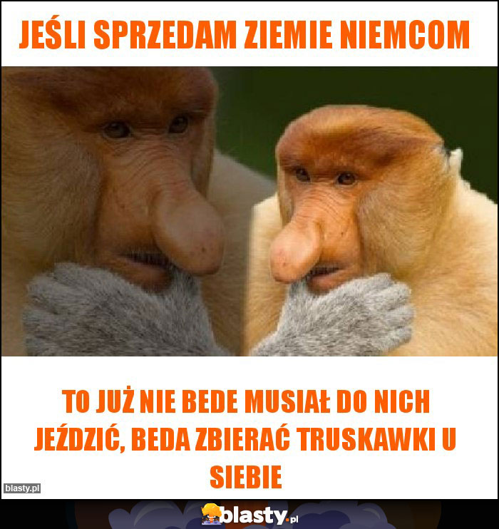 Jeśli sprzedam ziemie Niemcom