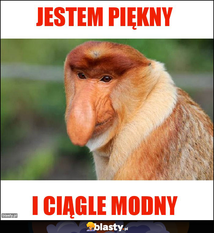 Jestem piękny