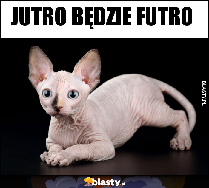 Jutro będzie futro